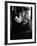 Entertainer Dean Martin-Allan Grant-Framed Premium Photographic Print