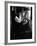 Entertainer Dean Martin-Allan Grant-Framed Premium Photographic Print