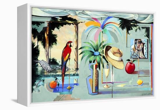 Entertaining the Recluse in the Circus of Dreams (Barbados)-Andrew Hewkin-Framed Premier Image Canvas