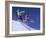 Enthusiastic Skiers-null-Framed Photographic Print