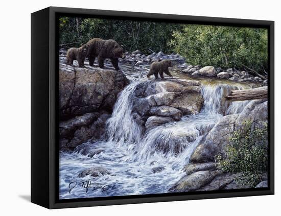 Entiat Falls-Grizzly Family-Jeff Tift-Framed Premier Image Canvas