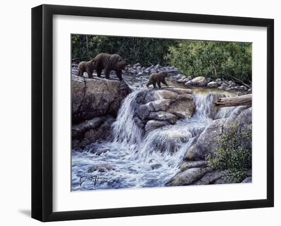 Entiat Falls-Grizzly Family-Jeff Tift-Framed Giclee Print