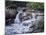 Entiat Falls-Grizzly Family-Jeff Tift-Mounted Giclee Print