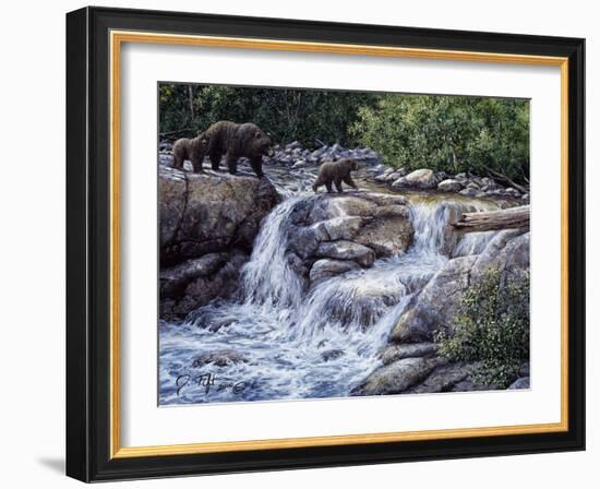 Entiat Falls-Grizzly Family-Jeff Tift-Framed Giclee Print