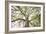 Enticing Oak-Michael Hudson-Framed Art Print