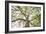 Enticing Oak-Michael Hudson-Framed Art Print