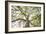 Enticing Oak-Michael Hudson-Framed Art Print