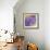 Enticing Wisteria-Jai Johnson-Framed Giclee Print displayed on a wall