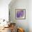 Enticing Wisteria-Jai Johnson-Framed Giclee Print displayed on a wall