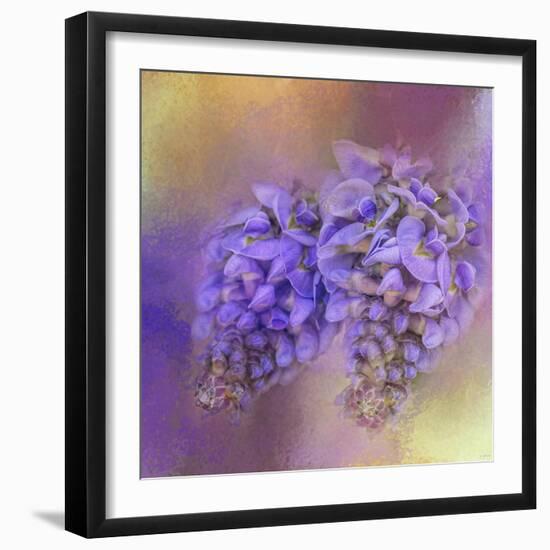 Enticing Wisteria-Jai Johnson-Framed Giclee Print