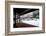 Entoku-in temple garden in winter, Kyoto, Japan, Asia-Damien Douxchamps-Framed Photographic Print