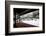 Entoku-in temple garden in winter, Kyoto, Japan, Asia-Damien Douxchamps-Framed Photographic Print