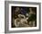 Entombment of Christ-Titian (Tiziano Vecelli)-Framed Giclee Print