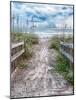 Entrance Beach-Mary Lou Johnson-Mounted Photo