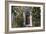 Entrance into a House with Grand Door with Window Lights, Surrounded by Vegetation-Natalie Tepper-Framed Photo