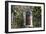 Entrance into a House with Grand Door with Window Lights, Surrounded by Vegetation-Natalie Tepper-Framed Photo