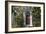 Entrance into a House with Grand Door with Window Lights, Surrounded by Vegetation-Natalie Tepper-Framed Photo