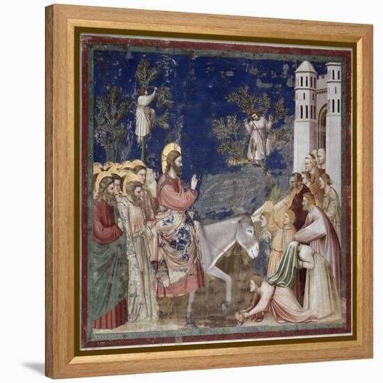 Entrance into Jerusalem-Giotto di Bondone-Framed Premier Image Canvas