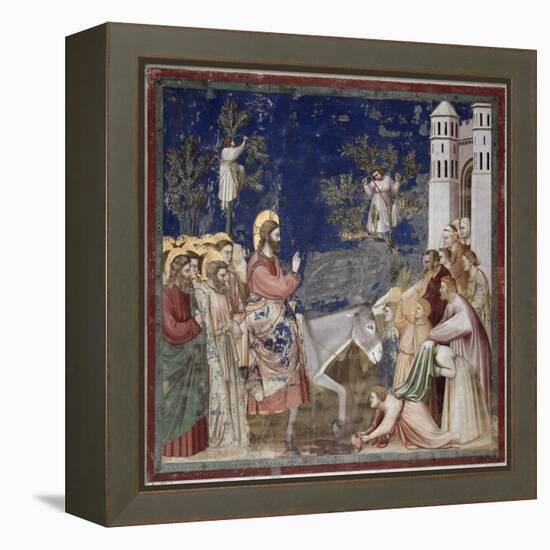 Entrance into Jerusalem-Giotto di Bondone-Framed Premier Image Canvas