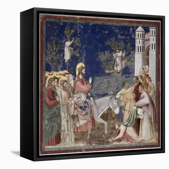 Entrance into Jerusalem-Giotto di Bondone-Framed Premier Image Canvas