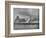 'Entrance of Balaclava Harbour', c1880-Unknown-Framed Giclee Print