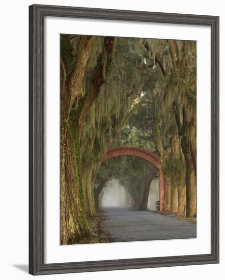 Entrance To Bethesda in Early Morning Light, Savannah, Georgia, USA-Joanne Wells-Framed Photographic Print