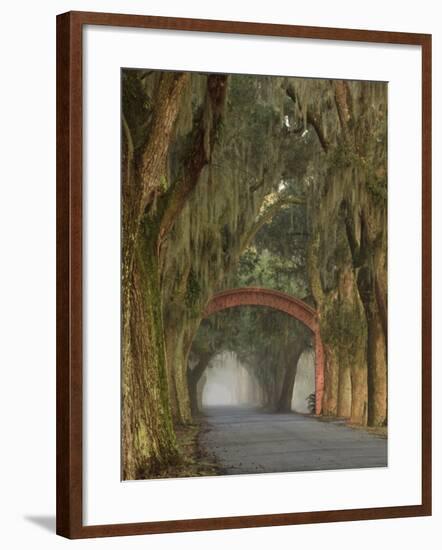 Entrance To Bethesda in Early Morning Light, Savannah, Georgia, USA-Joanne Wells-Framed Photographic Print