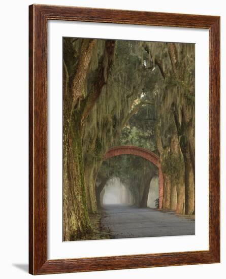 Entrance To Bethesda in Early Morning Light, Savannah, Georgia, USA-Joanne Wells-Framed Photographic Print