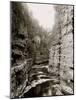 Entrance to Flume, Ausable Chasm, N.Y.-null-Mounted Photo