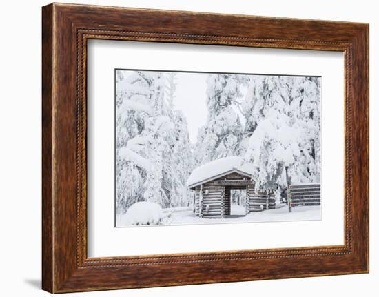Entrance to Riisitunturi National Park, Winter, Lapland, Finland-Peter Adams-Framed Photographic Print
