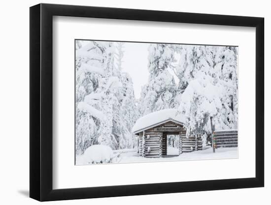 Entrance to Riisitunturi National Park, Winter, Lapland, Finland-Peter Adams-Framed Photographic Print