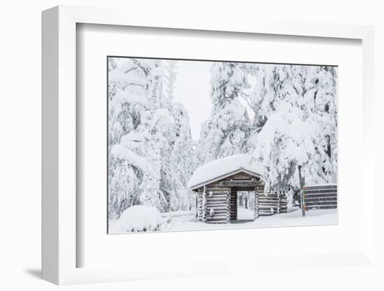 Entrance to Riisitunturi National Park, Winter, Lapland, Finland-Peter Adams-Framed Photographic Print