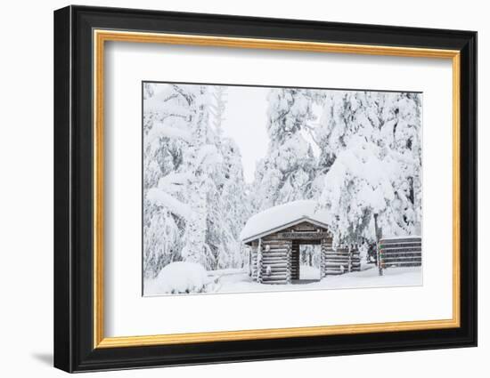 Entrance to Riisitunturi National Park, Winter, Lapland, Finland-Peter Adams-Framed Photographic Print