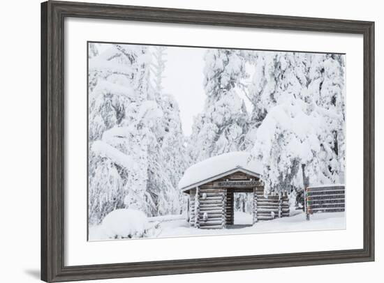 Entrance to Riisitunturi National Park, Winter, Lapland, Finland-Peter Adams-Framed Photographic Print