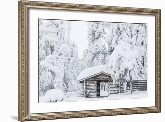 Entrance to Riisitunturi National Park, Winter, Lapland, Finland-Peter Adams-Framed Photographic Print