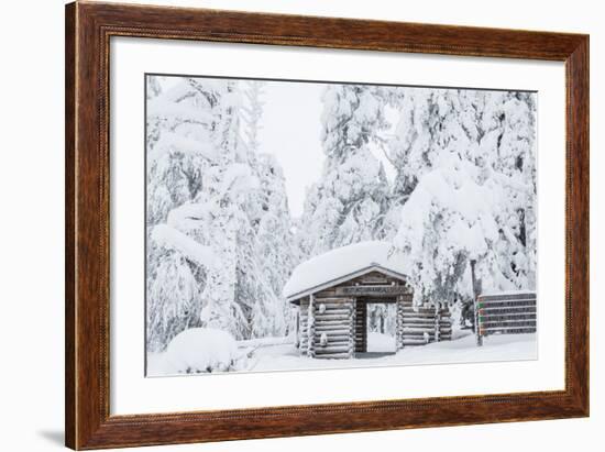 Entrance to Riisitunturi National Park, Winter, Lapland, Finland-Peter Adams-Framed Photographic Print