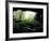 Entrance to Russell Cave National Monument, Alabama, USA-William Sutton-Framed Photographic Print