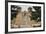 Entrance to the Spanish Colonial Church of S. Francis of Assisi, Ranchos De Taos-null-Framed Photographic Print