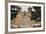 Entrance to the Spanish Colonial Church of S. Francis of Assisi, Ranchos De Taos-null-Framed Photographic Print