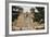 Entrance to the Spanish Colonial Church of S. Francis of Assisi, Ranchos De Taos-null-Framed Photographic Print