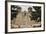 Entrance to the Spanish Colonial Church of S. Francis of Assisi, Ranchos De Taos-null-Framed Photographic Print