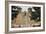 Entrance to the Spanish Colonial Church of S. Francis of Assisi, Ranchos De Taos-null-Framed Photographic Print