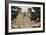 Entrance to the Spanish Colonial Church of S. Francis of Assisi, Ranchos De Taos-null-Framed Photographic Print