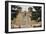 Entrance to the Spanish Colonial Church of S. Francis of Assisi, Ranchos De Taos-null-Framed Photographic Print