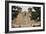 Entrance to the Spanish Colonial Church of S. Francis of Assisi, Ranchos De Taos-null-Framed Photographic Print