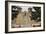 Entrance to the Spanish Colonial Church of S. Francis of Assisi, Ranchos De Taos-null-Framed Photographic Print