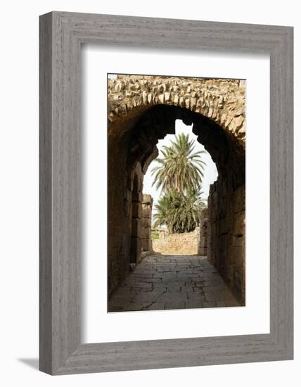 Entrance to the Theater, Roman ruins of Bulla Regia, Tunisia-Nico Tondini-Framed Photographic Print