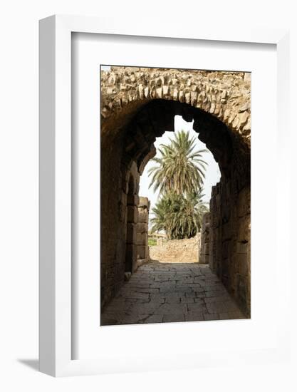 Entrance to the Theater, Roman ruins of Bulla Regia, Tunisia-Nico Tondini-Framed Photographic Print