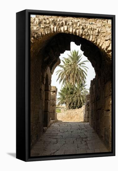 Entrance to the Theater, Roman ruins of Bulla Regia, Tunisia-Nico Tondini-Framed Premier Image Canvas