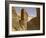 Entrance to the tomb of Seti I-English Photographer-Framed Giclee Print